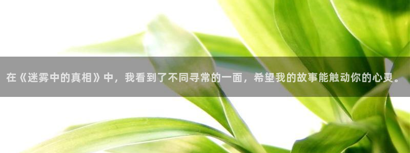 木瓜視：在《迷霧中的真相》中，我看到了不同尋常的一面，希望我的故事能觸動你的心靈。
