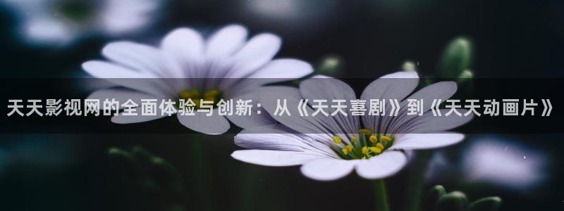 木瓜影院在線播放：天天影視網的全面體驗與創(chuàng)新：從《天天喜劇》到《天天動畫片》