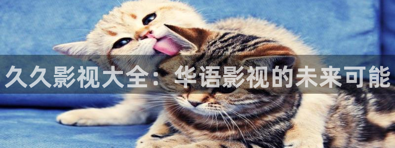 美國(guó)木瓜：久久影視大全：華語影視的未來可能